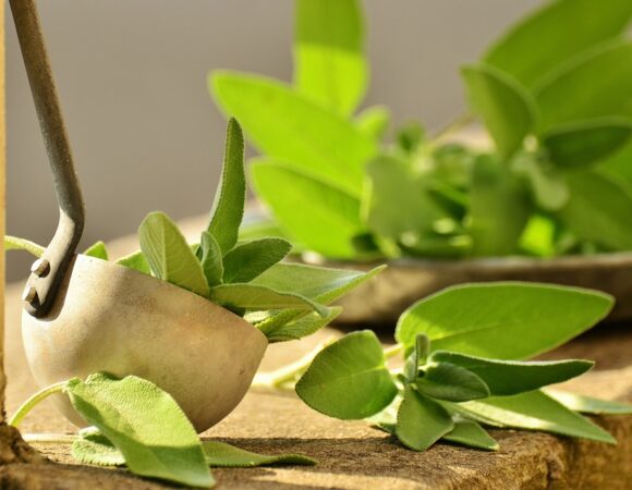 Marimieh: The Green Gold of Middle Eastern Herbal Teas