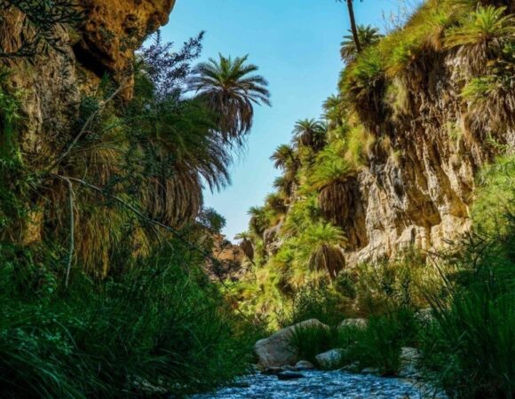 Wadi Bin Hammad: Jordan’s Coolest Hidden Spot