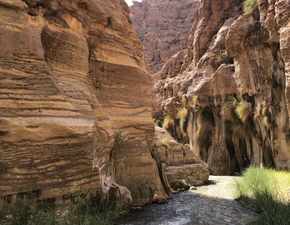 Canyons & Deserts: 9 days Hiking Adventure