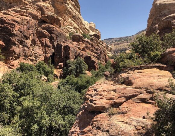 Valley in Dana Nature reseve with green shrubs and big rocks