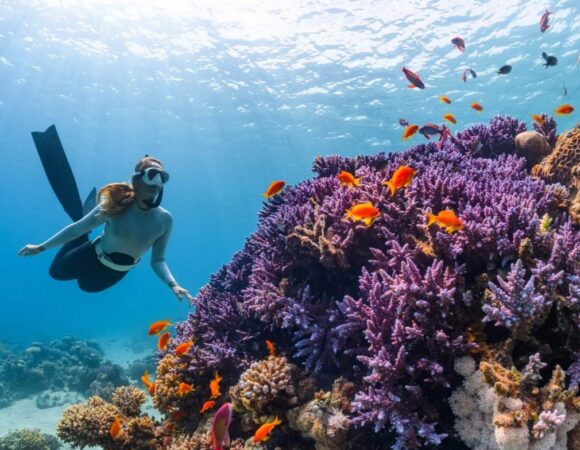 3-Day Luxury Yacht Liveaboard: Red Sea Diving in Aqaba, Jordan