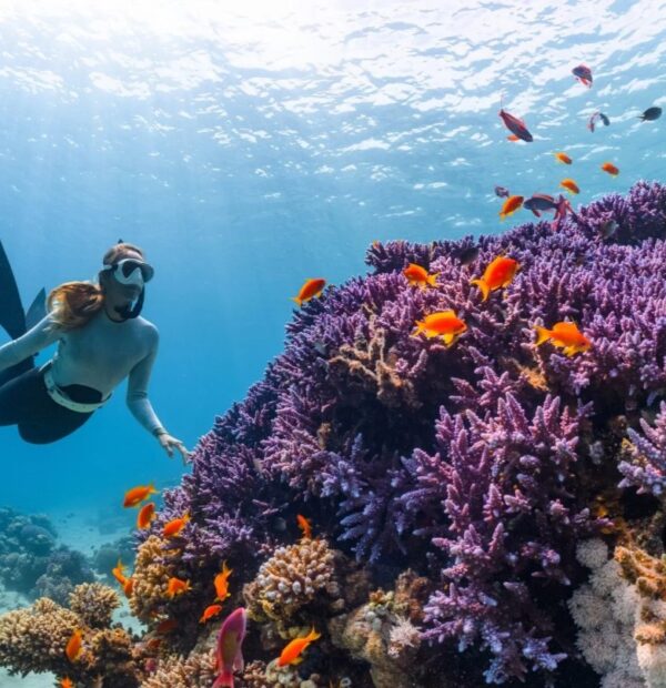 Rocked by the waves: 3 days Red Sea diving from a luxury yacht