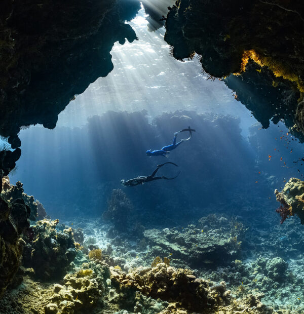 Diving Adventures