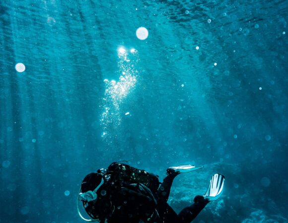 Full-Day Diving Tour from Aqaba – 3 Dive Sites Experience