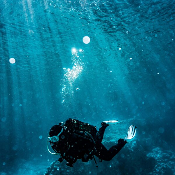 Full-Day Diving Tour from Aqaba – 3 Dive Sites Experience