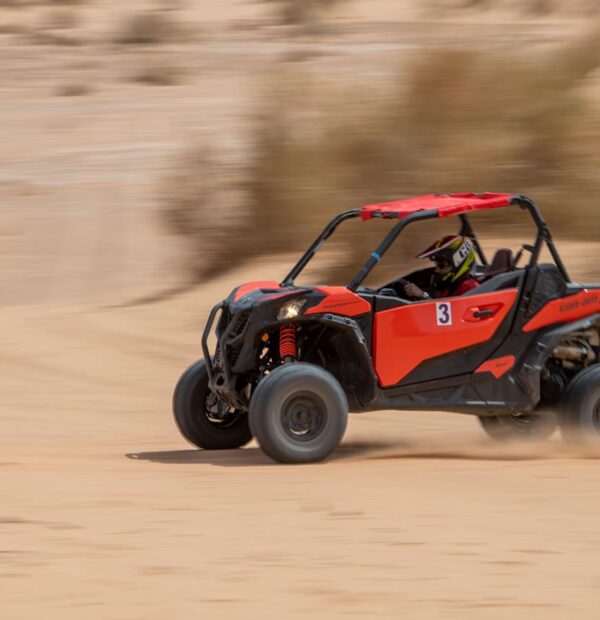 Wadi Araba Discovery: buggy experience with overnight in the desert