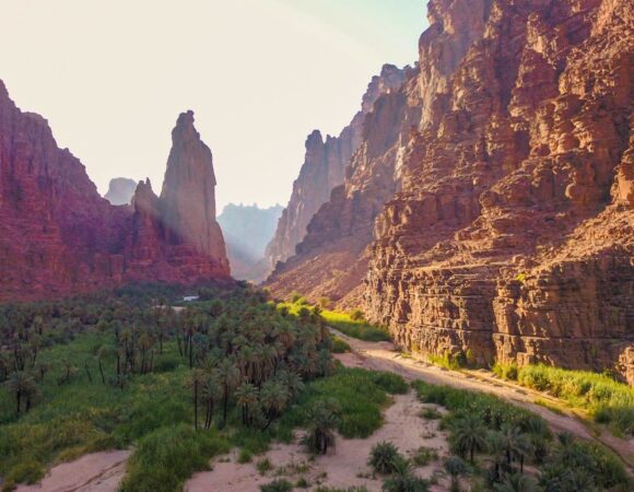 Wadi Diseh valley with palm trees in Saudi Arabia