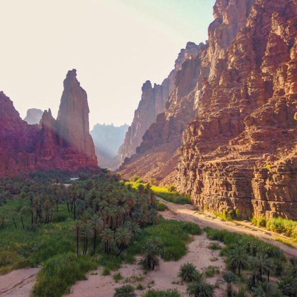 5 Day Saudi Arabia Adventure from Tabuk