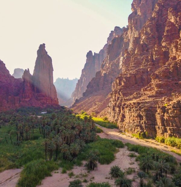 5 Day Saudi Arabia Adventure from Tabuk