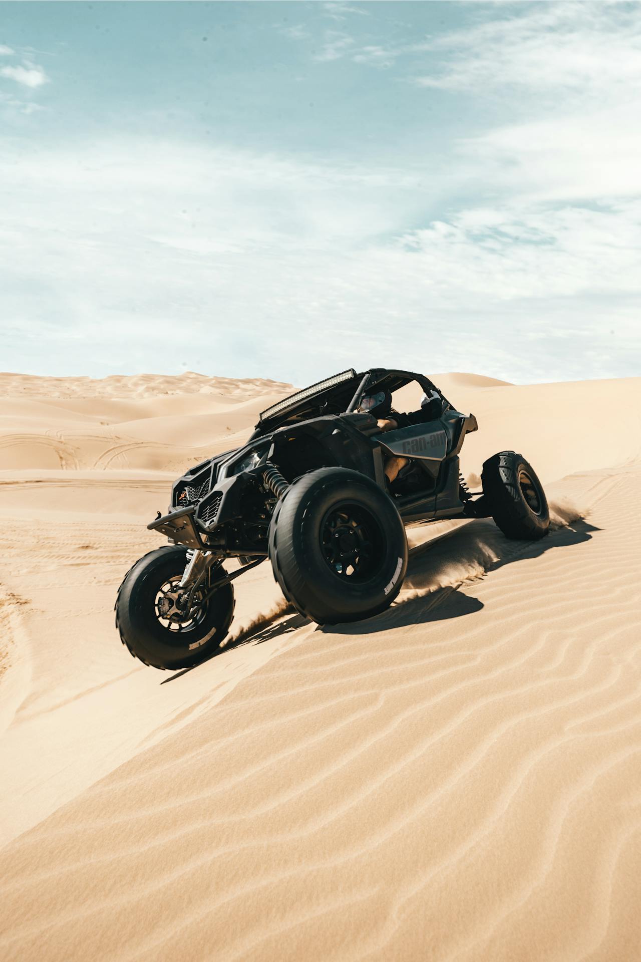 Buggy Adventures