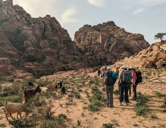 From Petra hiking to Wadi Sabra part of the Jordan Trail