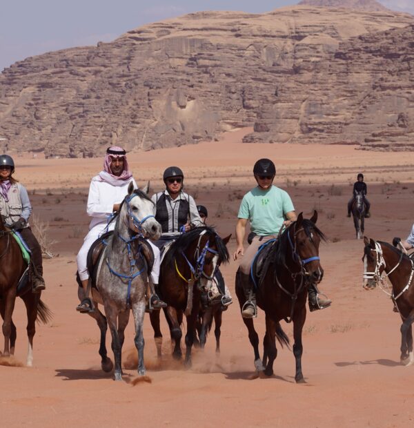 Desert Masters: 9 days Horseback Riding Adventure