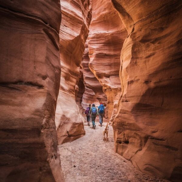 Bedouin Roads: 10 days hiking along Petra, Wadi Araba and Wadi Rum